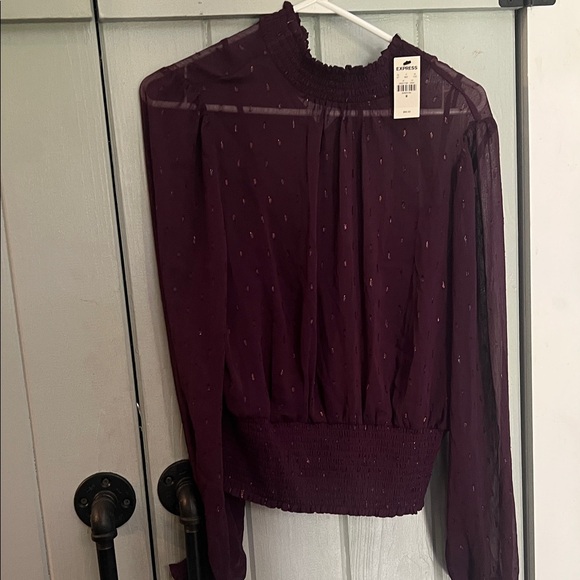 Express Tops - Express Plum Sheer Smocked Waist & Neck Long Sleeve Blouse